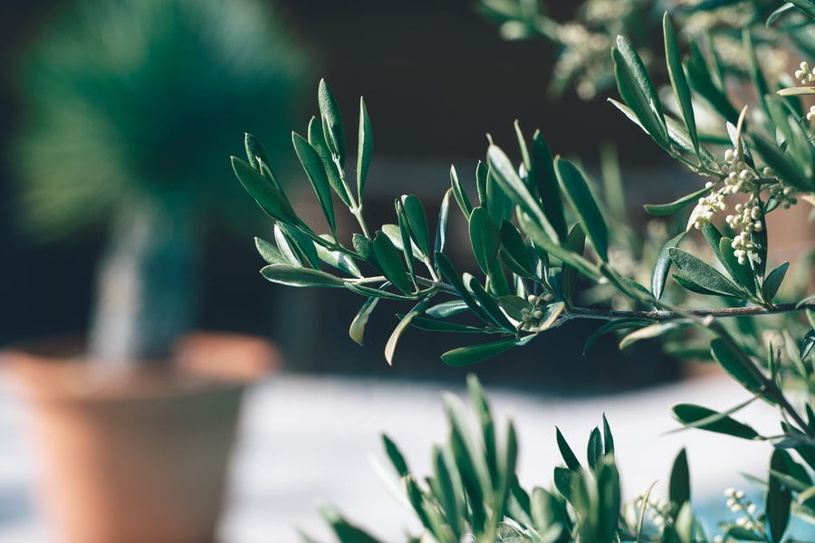 Image d'illustration 13